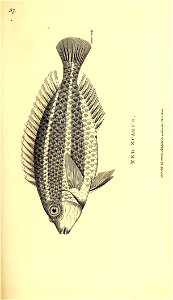 n544_w1150