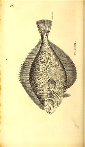 n415_w1150