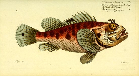 n152_w1150