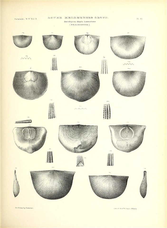 n114_w1150