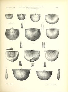 n114_w1150