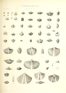n668_w1150