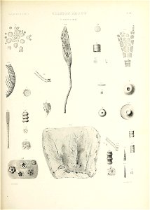 n608_w1150