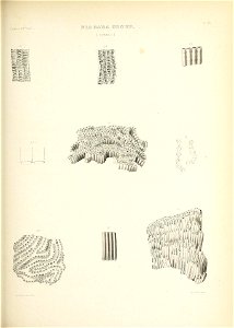n548_w1150