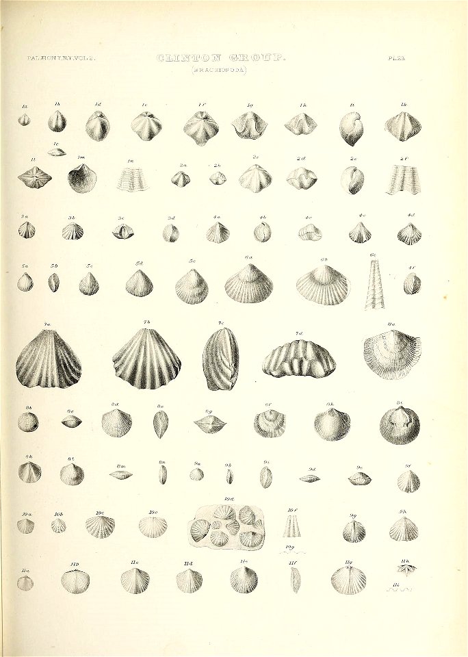 n488_w1150