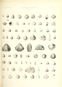 n488_w1150