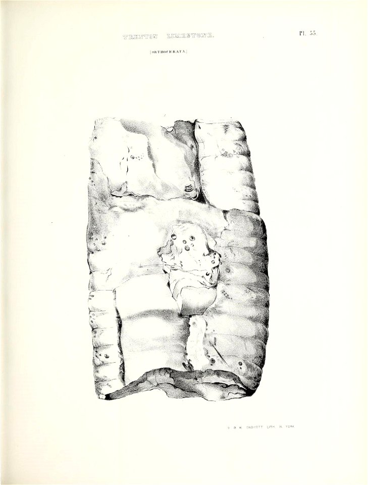 n638_w1150