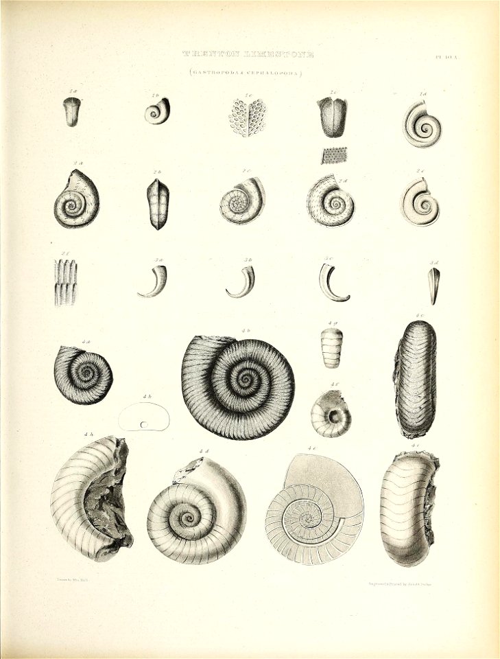 n574_w1150