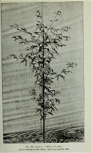 n396_w1150