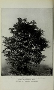 n373_w1150