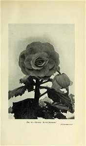 n876_w1150