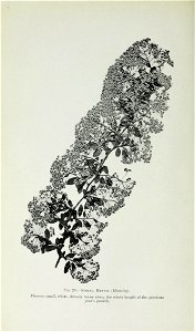 n85_w1150
