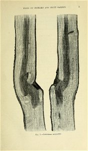 n12_w1150