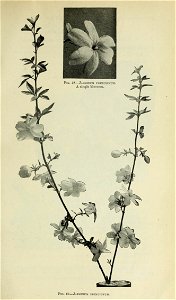 n862_w1150