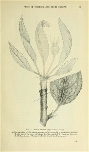 n10_w1150