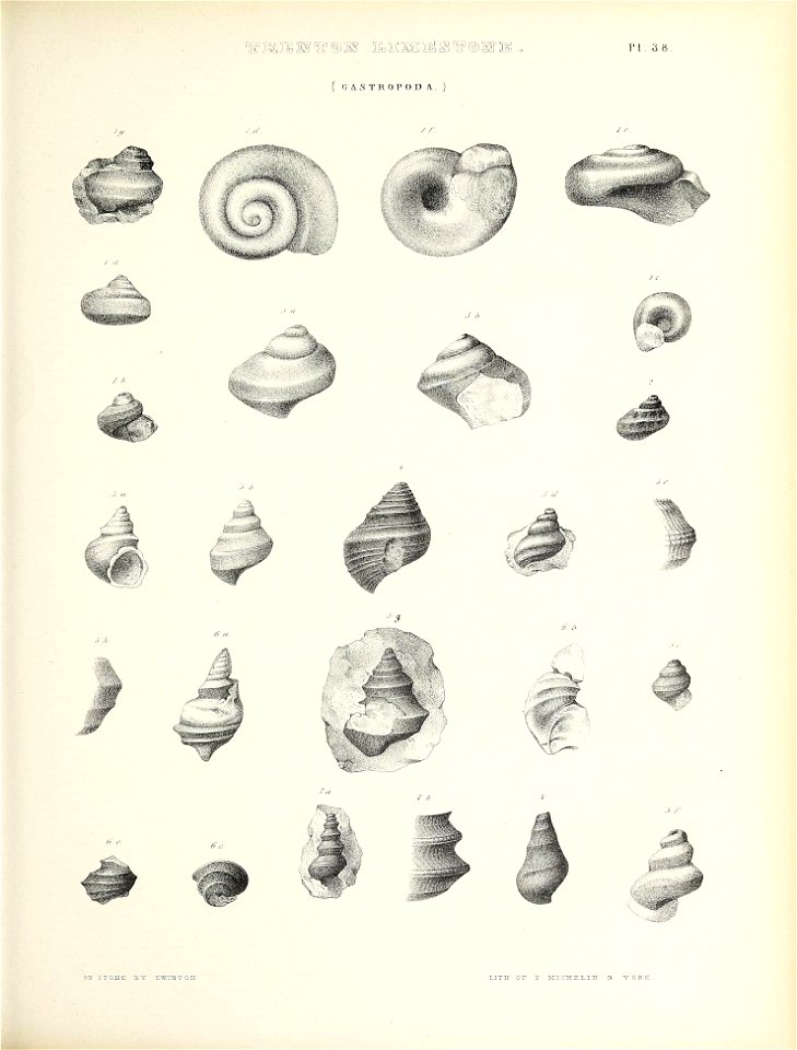 n562_w1150