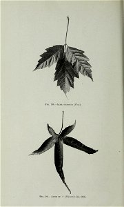 n393_w1150