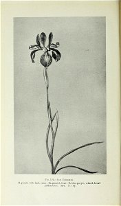n513_w1150