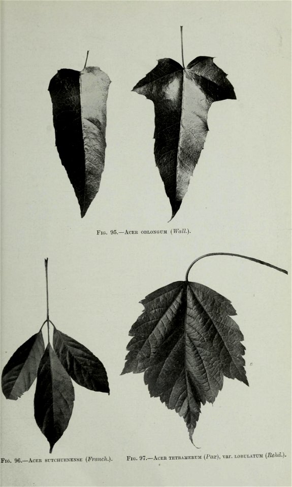 n392_w1150