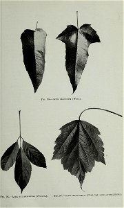 n392_w1150