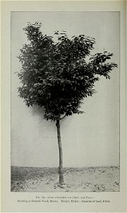 n367_w1150