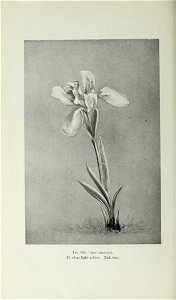 n535_w1150