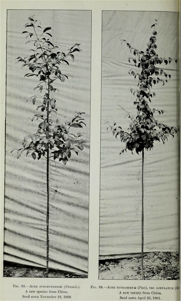 n389_w1150
