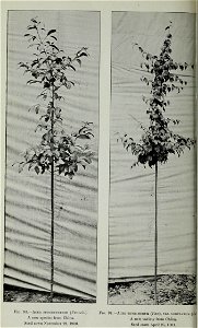 n389_w1150