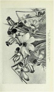 n534_w1150