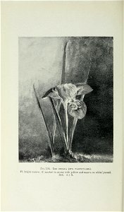 n533_w1150