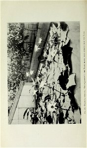 n123_w1150