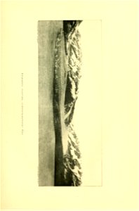 n276_w1150