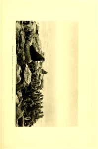 n216_w1150