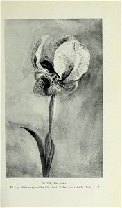n532_w1150