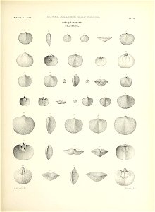n78_w1150