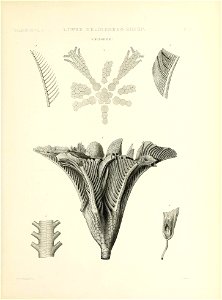 n18_w1150