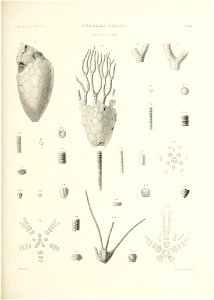 n632_w1150