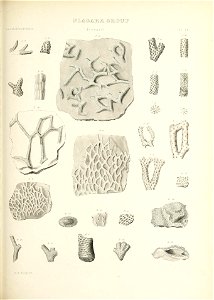 n572_w1150