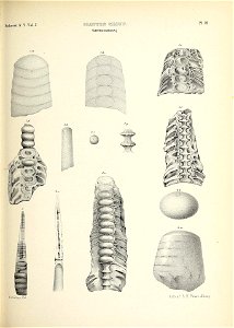 n512_w1150