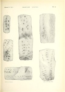 n452_w1150