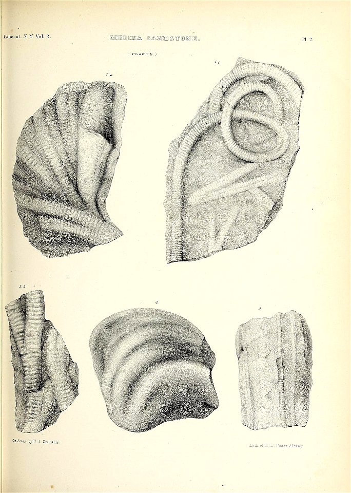 n392_w1150