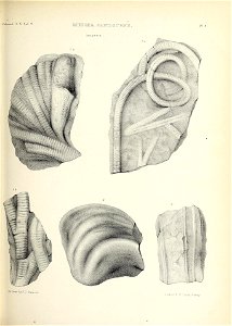 n392_w1150
