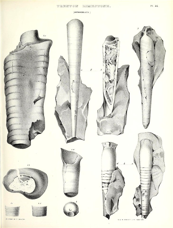n598_w1150