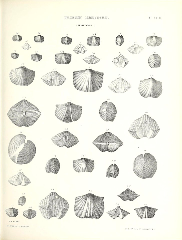 n538_w1150