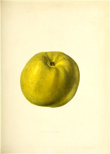 n114_w1150