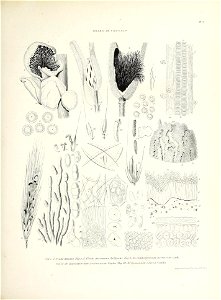 n416_w1150