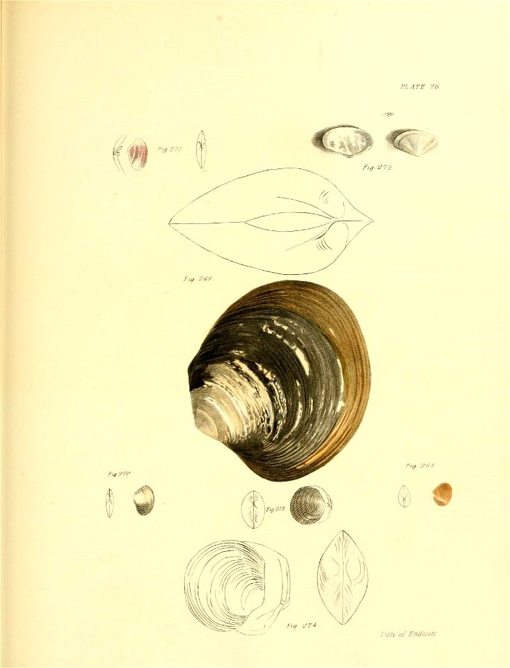n422_w1150
