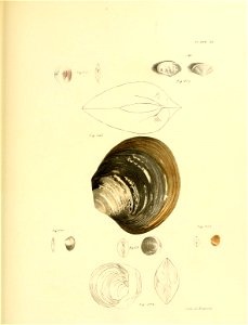 n422_w1150