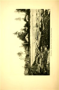 n299_w1150
