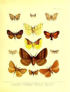 n160_w1150